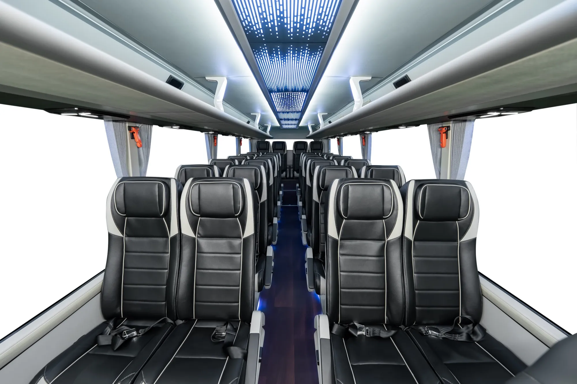 Passenger seats — Cruizer 81-29